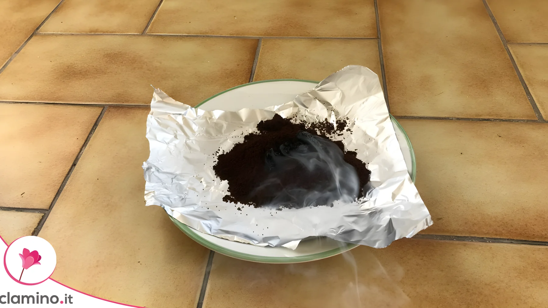 Bruciare i fondi di caffè contro le zanzare: il metodo per balcone e giardino