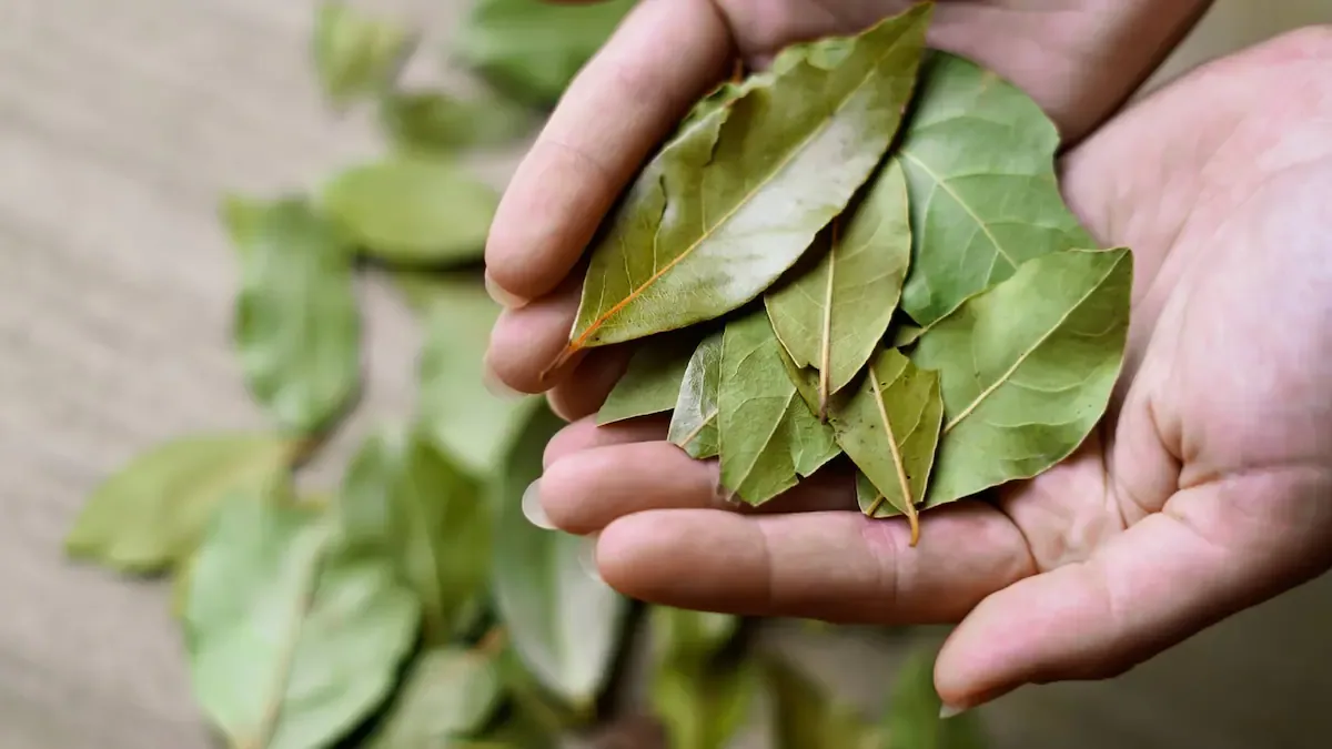 Mezcla de vinagre blanco y hojas de laurel: para qué sirve y por qué se recomienda